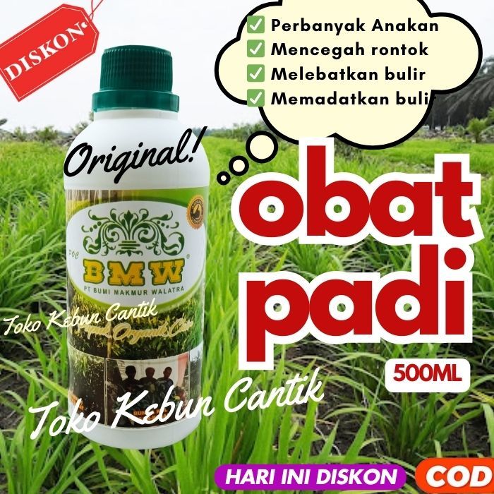 Obat Pertumbuhan Padi - Pupuk Padi untuk Padi Cepat Beranak, Meningkatkan Hasil dan Anakan Padi deng