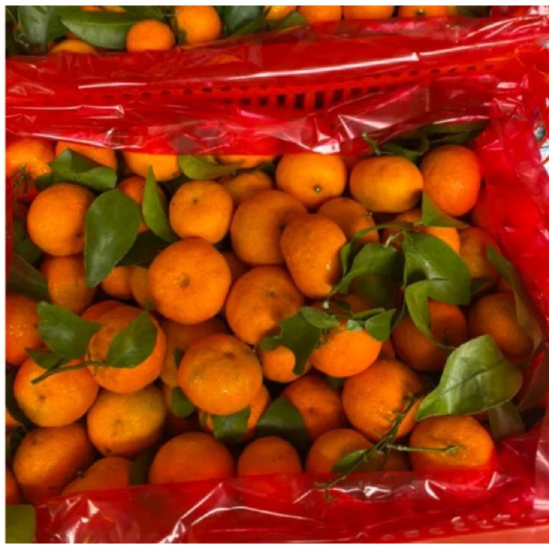 

SHANTANG BIRMA /500gr