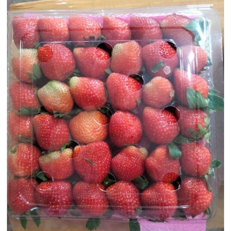 

Buah strawberry 1 kg