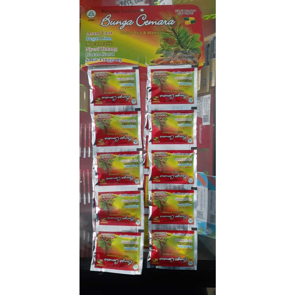 

Jamu Bunga Cemara Asam urat