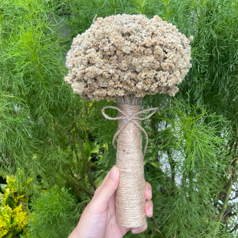 Hand Bouquet Merapi Edelweis Dried Flowers | Bunga Properti Foto | Buket Pengantin Wedding