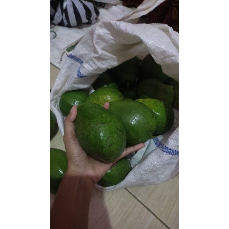 

alpukat mentega 1kg isi 34(mentah)