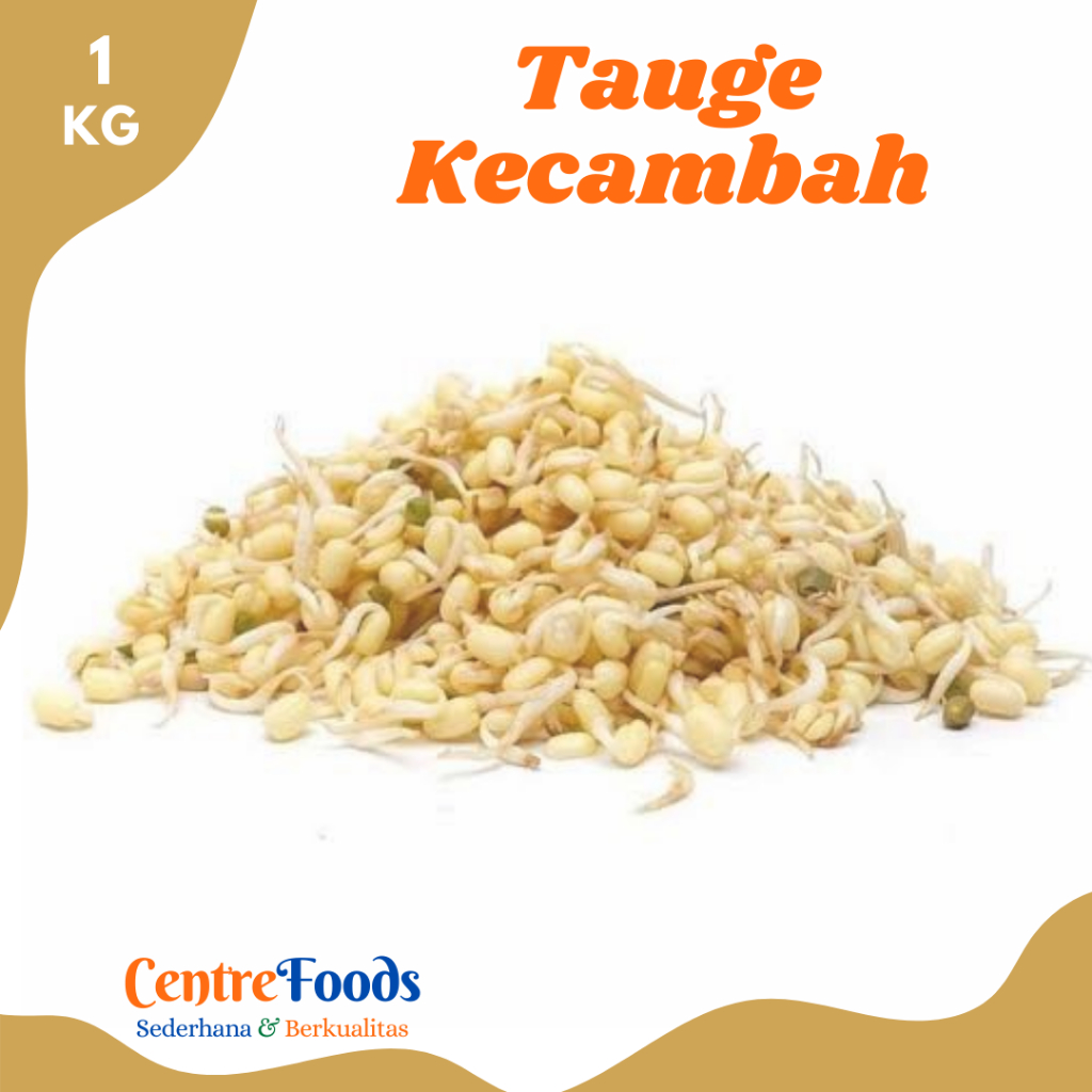 

TAUGE Kecambah - Sayur Toge Rawon Fresh | 1.000gr [ Harga Per KG ]