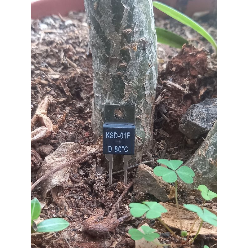 KSD-01 D 80C normally closed orginal