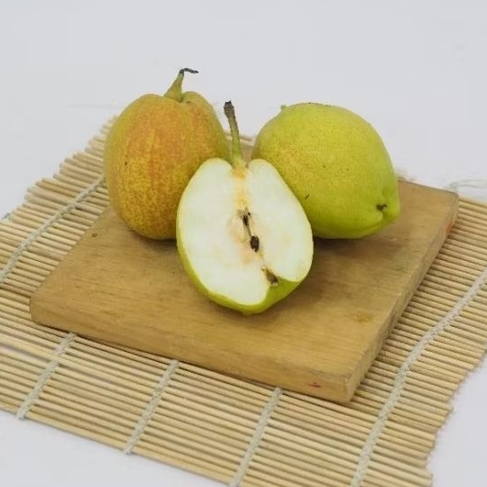 

Buah Pear Xiang Lie - Buah Segar