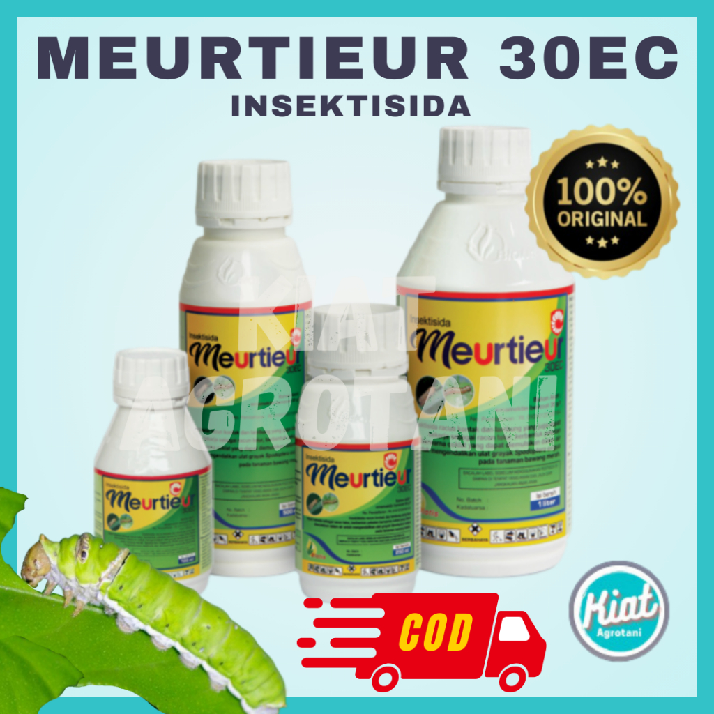 Insektisida Meurtieur 30 EC untuk Ulat Grayak bawang merah
