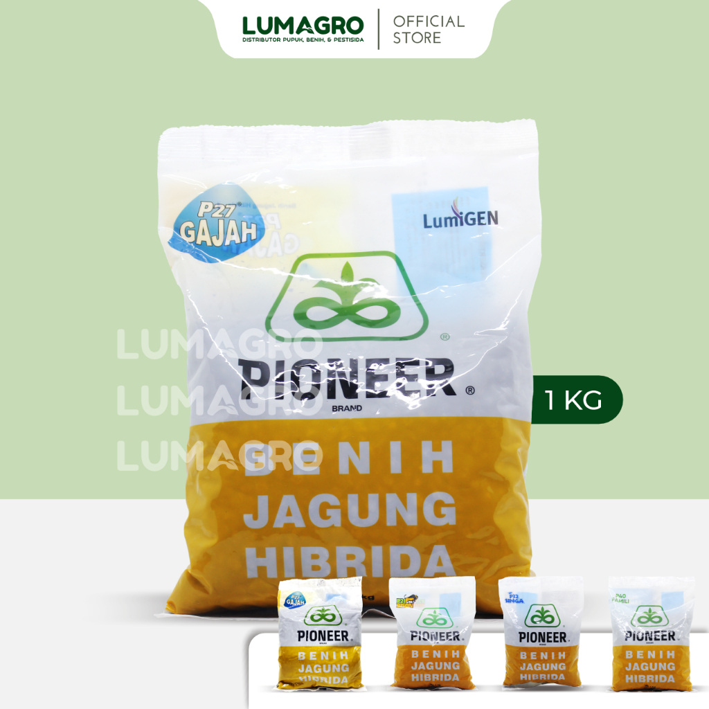 Benih Jagung Pioneer P27 Lumigen Gajah P40 Famili P21 Bison P32 Singa 1kg Bibit Unggul Hibrida