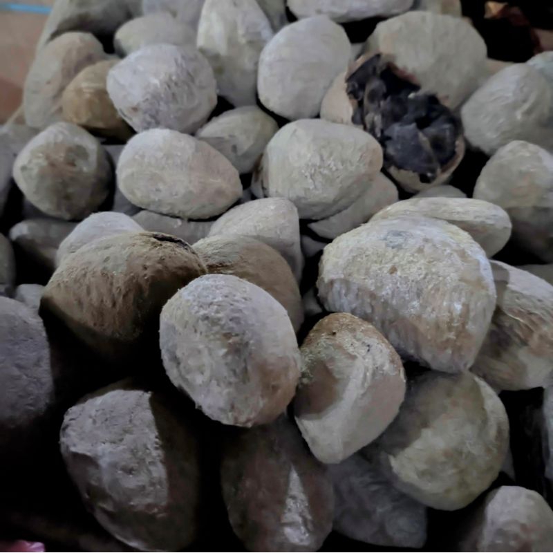 

Kluwek Keluwak Kluwak 250 gram