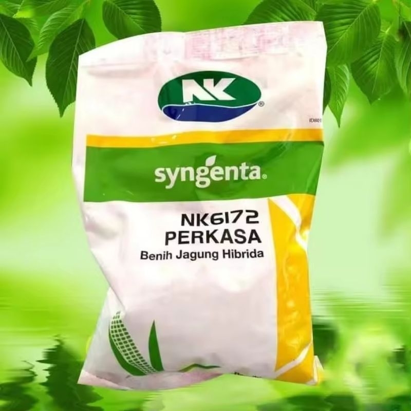 NK 6172 PERKASA BENIH JAGUNG HIBRIDA