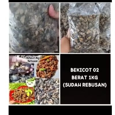 

Bekicot rebusan ± 1kg