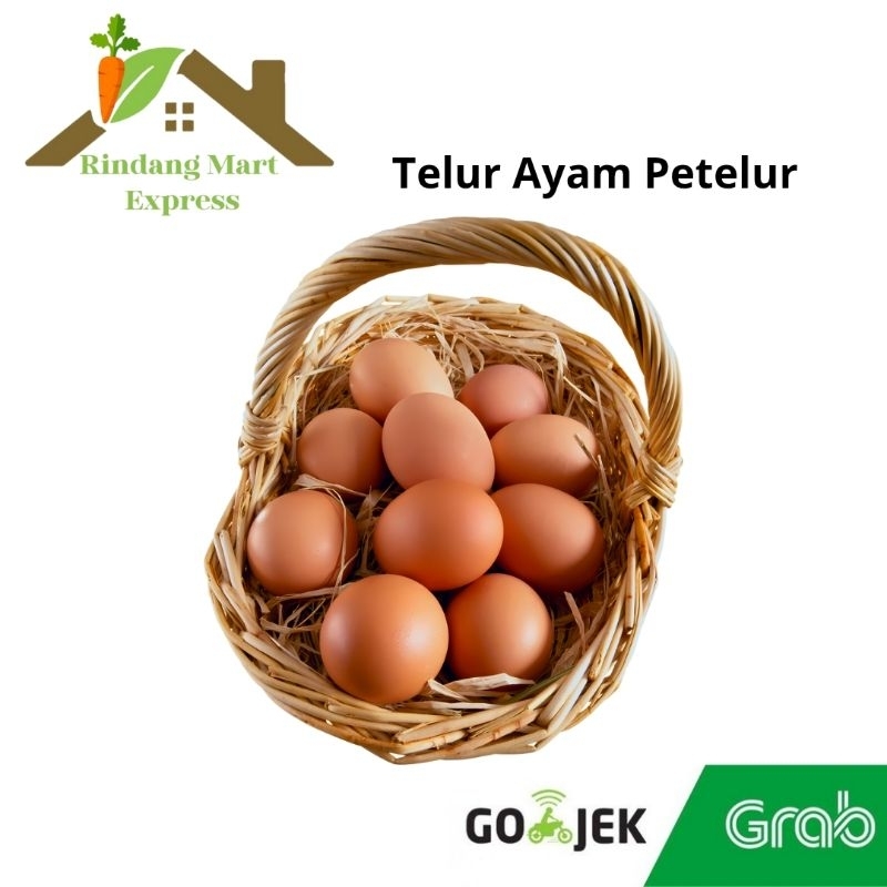 

Telur Ayam Petelur | Telur Ayam Mentah
