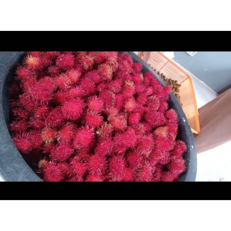 

Rambutan Parakan segar manis 1kg tanpa batang