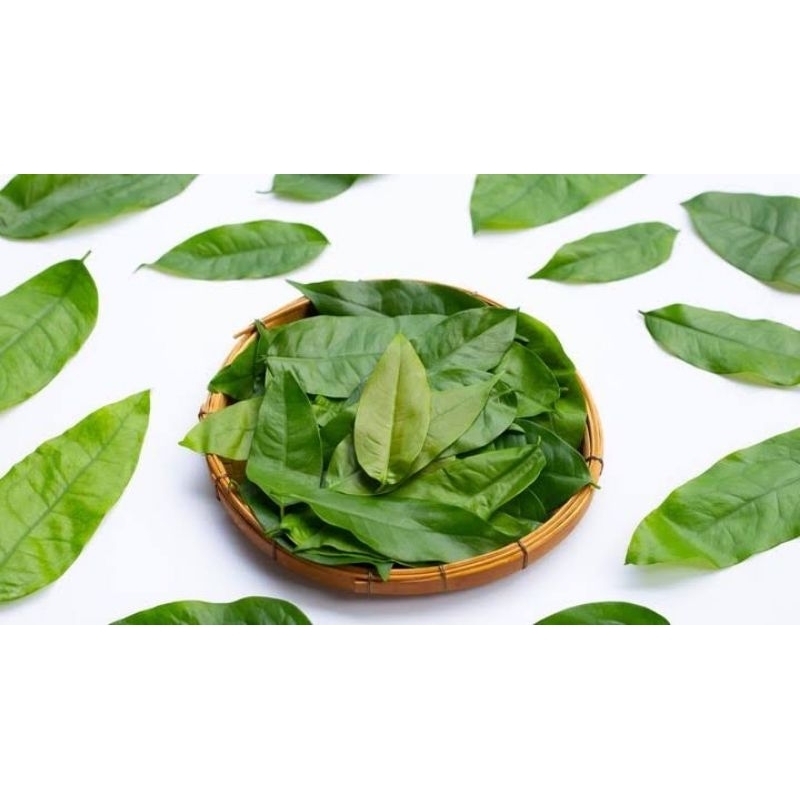 

Daun Melinjo Segar, Lezat dan Penuh Manfaat – Tersedia Sekarang