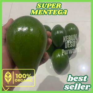 

Alpukat Mentega 1kg isi 3 /Alpukat Miki/Alpukat Wina/Alpukat Mentah Tua Asli Petani Langsung BERGARANSI100%