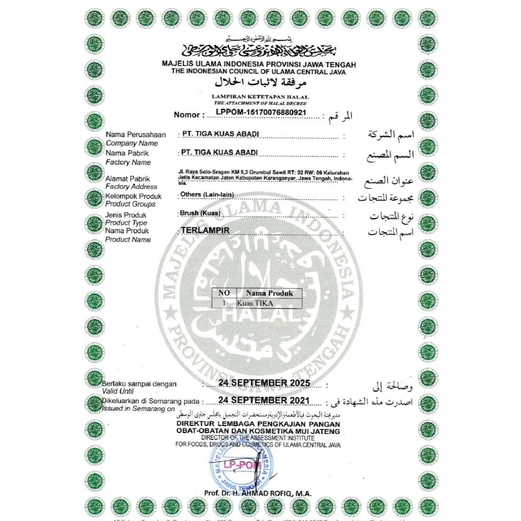 Kuas Tika Premium Tanpa Bulu Babi Semua Ukuran/Kuas Cat Tembok Merk Eterna Prima Aceoldfields