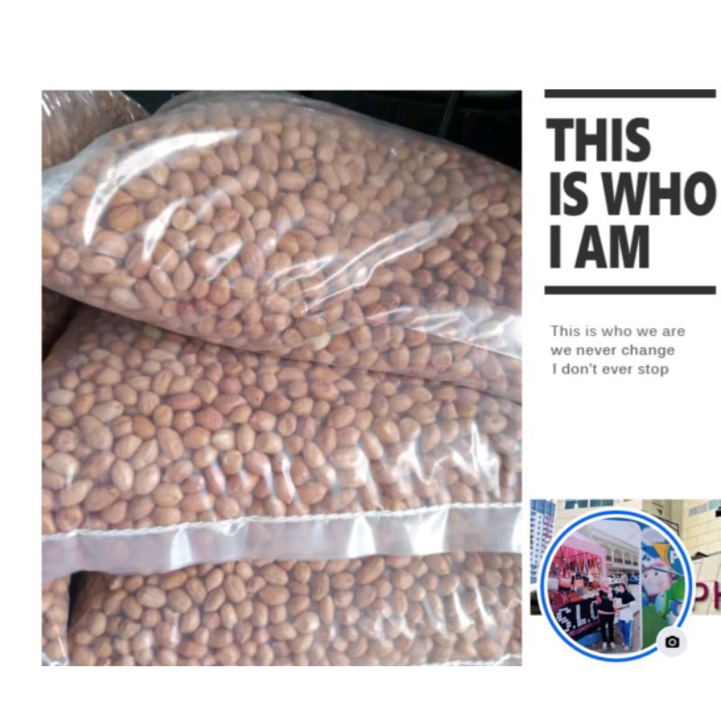 

Kacang Tanah Fresh 1 kg