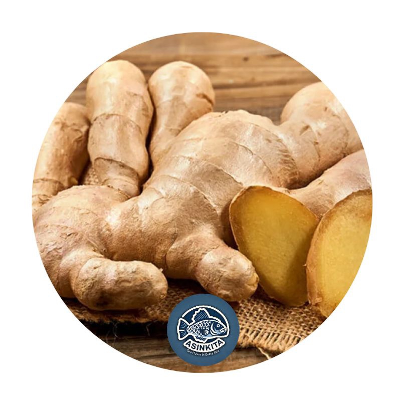 

jahe putih gajah jumbo / jahe besar 1 kg murah