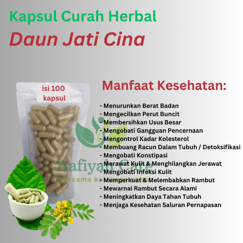 Kapsul Curah Herbal JATI CINA Pelangsing Metabolisme 100 casul