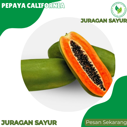 

Pepaya California Segar - Pepaya California Manis - Juragan sayur