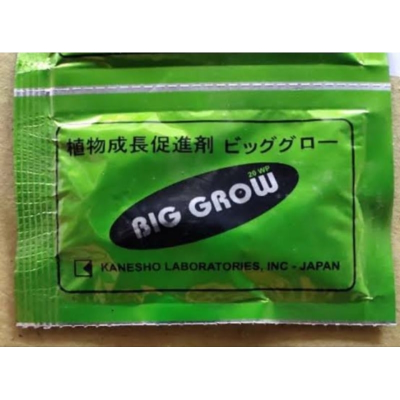 ZPT BIG GROW FORTE KECIL - 1 Gram