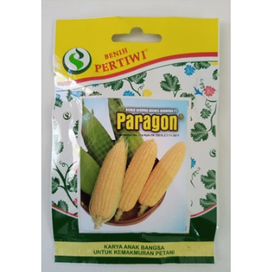 BENIH JAGUNG MANIS PARAGON