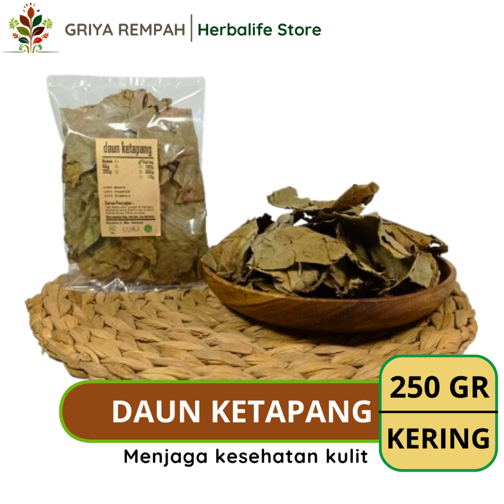 

DAUN KETAPANG KERING 250 GRAM Kalis Rempah Herbal Simplisia Alami Premium untuk Ramuan Jamu Tradisional & Kesehatan Terminalia catappa