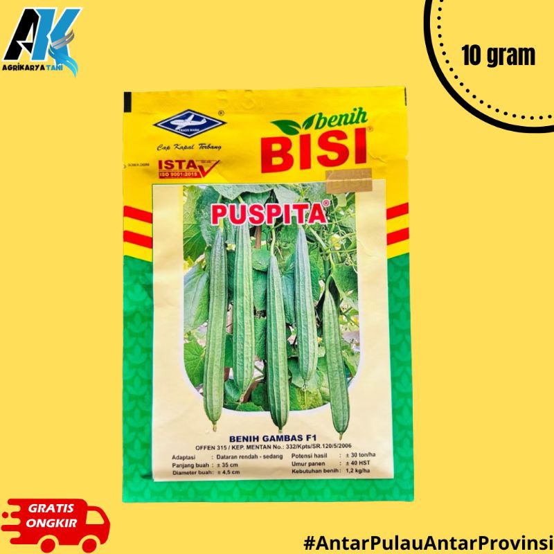 Benih Gambas F1 Puspita 10gram "Cap Kapal Terbang"