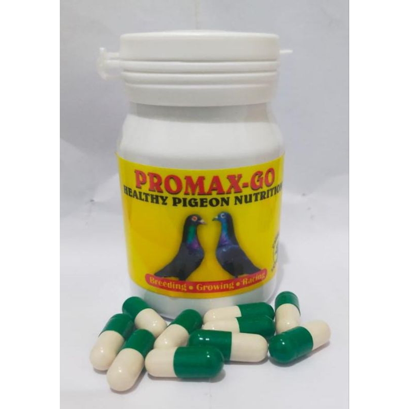 Vitamin burung merpati juara