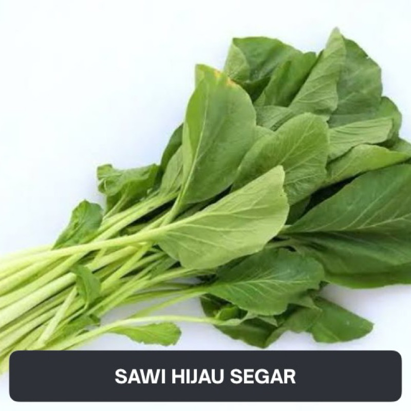 

Sawi Hijau