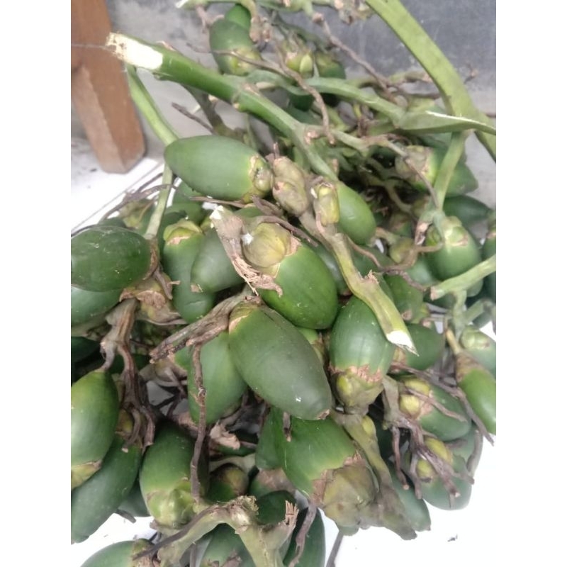 

Buah Pinang Muda/ Jambe per 500 gram