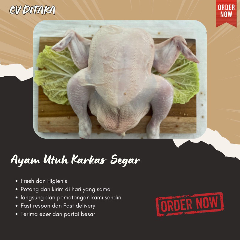 

Ayam Utuh Karkas Segar