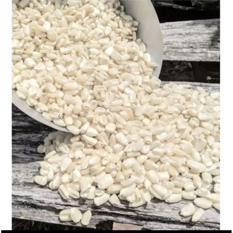 Teh_Teh Maniez Benih Jagung Putih Jumbo Kemasan 1 Kg