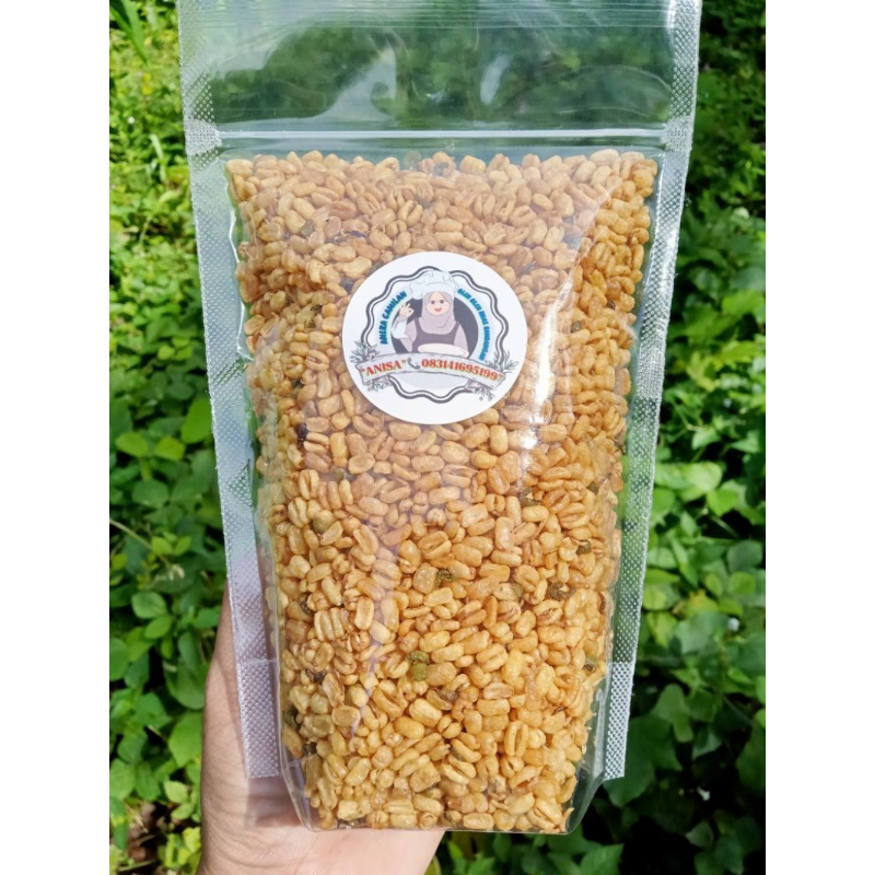 

Kacang hijau Goreng Renyah (250gr)