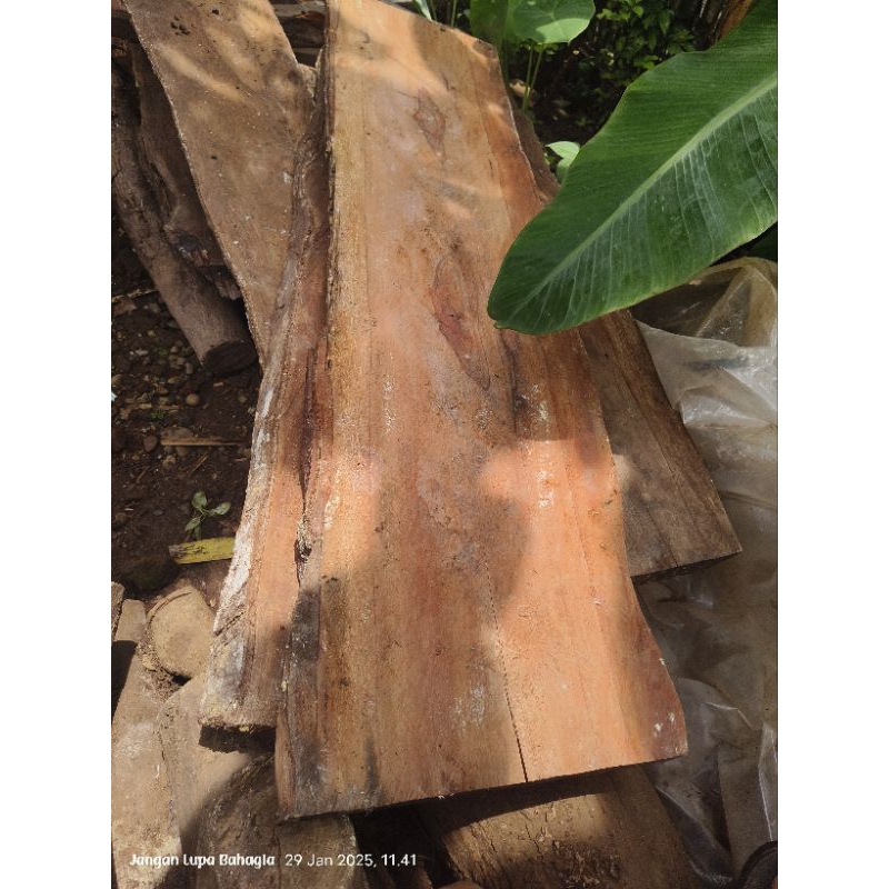 Papan kayu nagasari asli 120*30cm bahan tongkat tasbih blawong deder keris garan pegangan warangka k