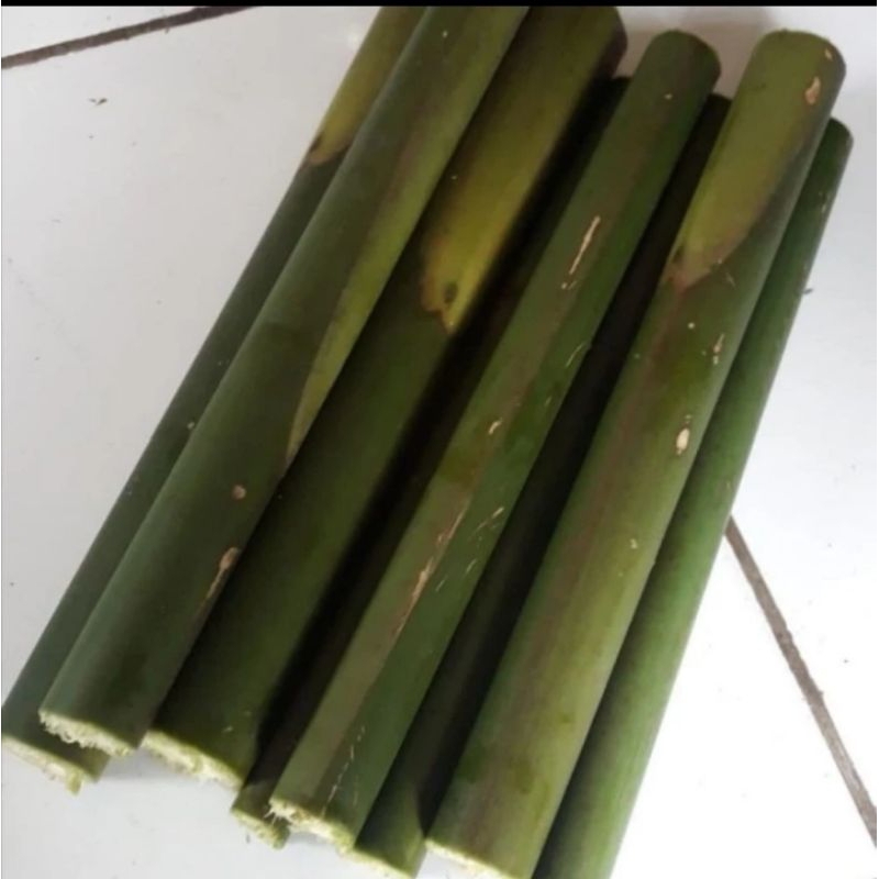 

BATANG KECOMBRANG 1KG TERMURAH BISA COD