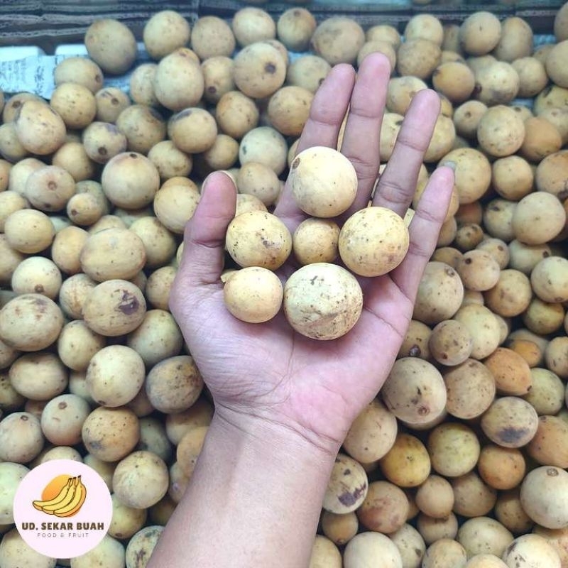 

BUAH DUKU PALEMBANG 1 KERANJANG / KRAT - BERAT BERSIH BUAH 6 KG