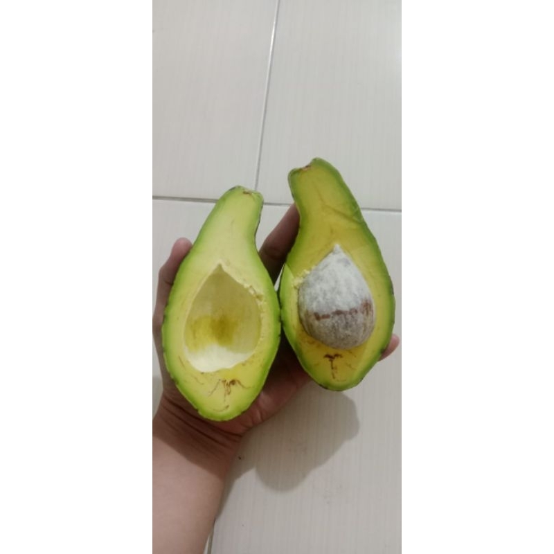 

pokat mentega batusangkar