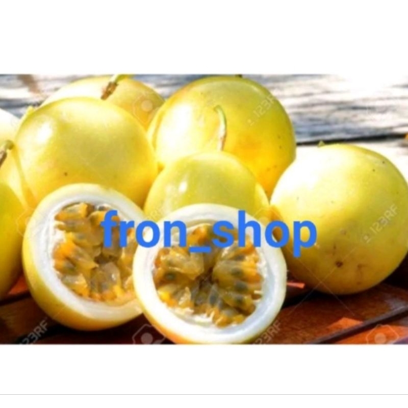 

1kg buah markisa segar (markisa kuning)