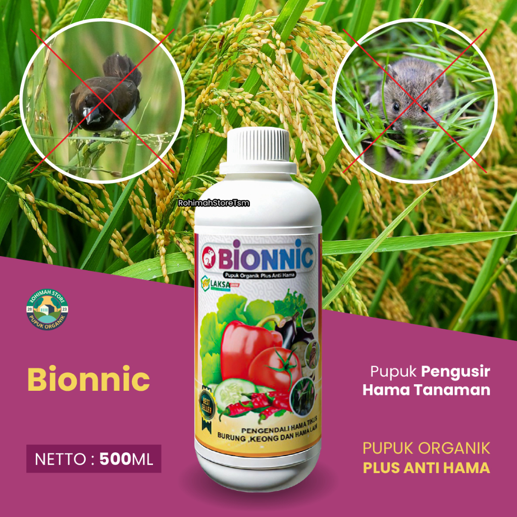 BIONNIC PENGENDALI HAMA TIKUS DAN BURUNG Menyuburkan Tanaman Padi di Sawah Mengobati Padi Kerdil Men