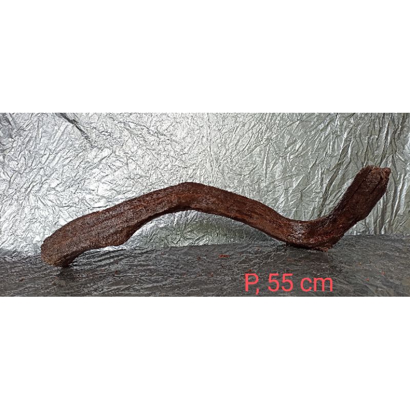 kayu rentek aquascape