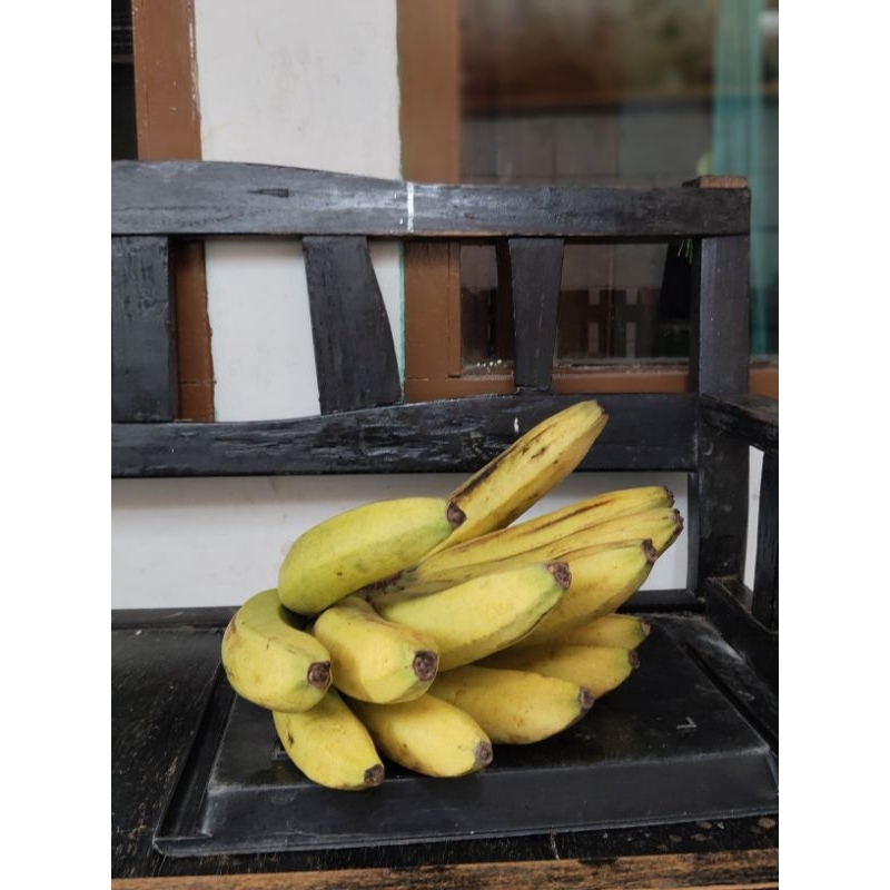 

Ready ya kaka pisang ambon asli sukabumi, di jamin manis dan masih fresh