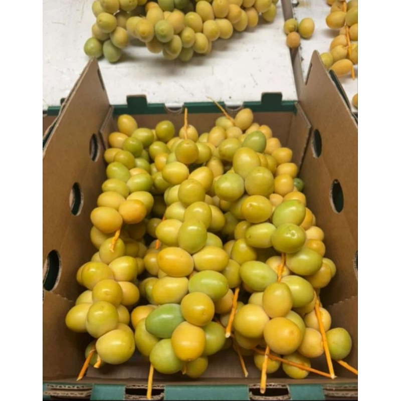 

Kurma Muda Fresh dan Sehat 1 kg