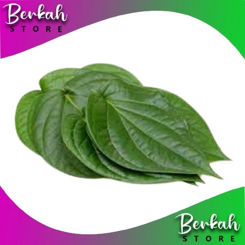 

Daun Sirih Segar 200 Gram Obat herbal Alami toko berkah store