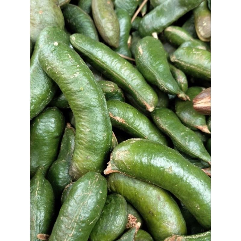 

1kg KABAU TUA MASIH KULIT KUALITAS SUPER