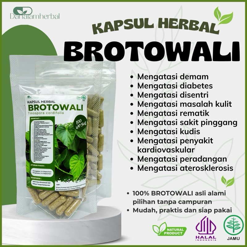 Kapsul Herbal BROTOWALI isi 100 kapsul | Kapsul Sejuta manfaat asli 100% Brotowali Alami