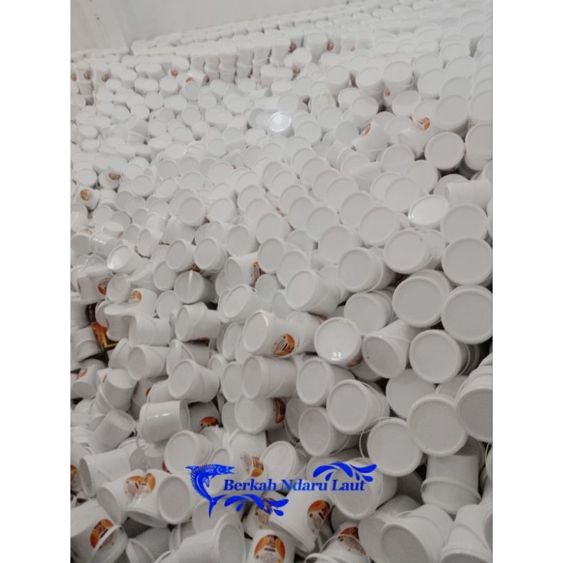 

KURMA TOPLES Al QASSIM