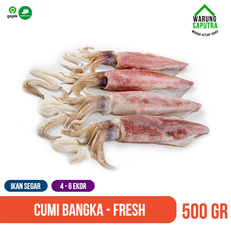 

Cumi - Cumi Bangka Segar Utuh 500 g