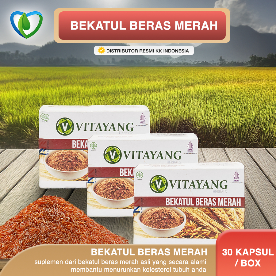 

Vitayang Bekatul Beras Merah Kolesterol dalam darah Arteriosklerosis Herbal Alami KK Indonesia