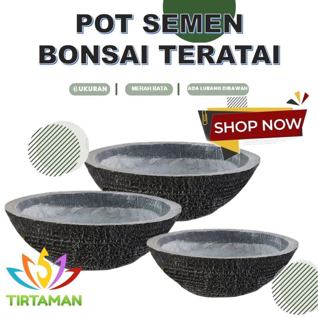 pot semen bonsai teratai / pot estetik bonsai teratai / pot beton bonsai teratai [reguler termasuk p