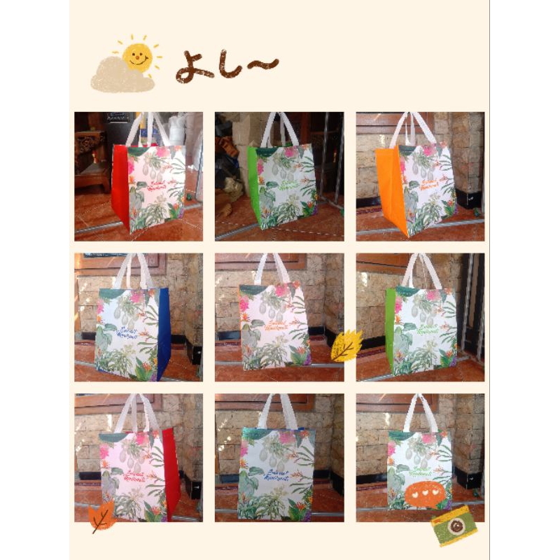 

TAS HAJATAN SPUNBOND LAMINASI BOX NASI /GOODIE BAG/UKURAN 22X22 X30 cm